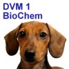DVM 1st Year Biochemistry