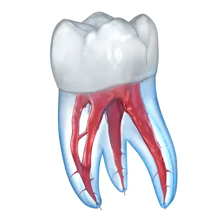 Dental 3D Illustrations Cheats