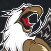 Grand Rapids Griffins