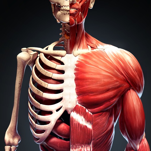 3d human body atlas free download