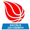 Kosárlabda Digitális J.