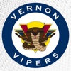 Vernon Vipers