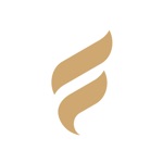 Wingman AI Chat Assistant