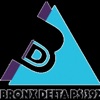 Bronx Delta PS 392