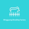 Mingguang Breeding Factory