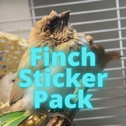 Finch Stickers