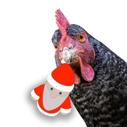 Dodge Them Turkeys! (Santa)