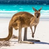 Australia’s Best: Travel Guide