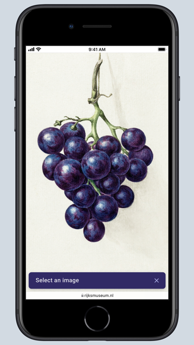 search-by-image-for-safari-ipad-screen-shot-1
