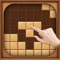 Icon Block puzzle Casual game woody