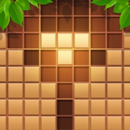 Wood Block Puzzle Sudoku