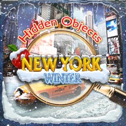 Hidden Object New York Winter