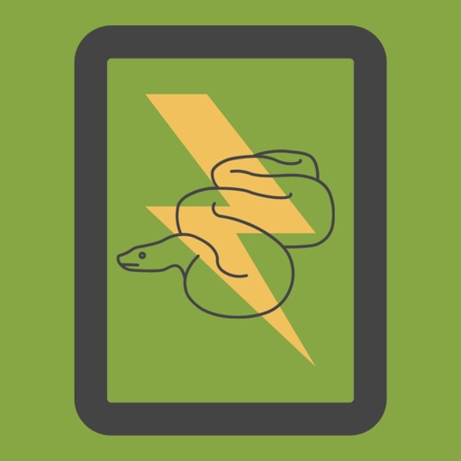 Python Tutorial and Flashcards Icon