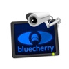 Bluecherry Mobile
