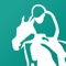 Horse Racing Tracker - Results