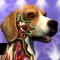 Have you ever wondered how the animals body works