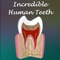 ‘Teeth’ app brings to you a comprehensive learning tool that takes you on a visual tour to explore the pearly whites of your mouth