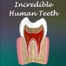 Get Incredible Human Teeth for iOS, iPhone, iPad Aso Report