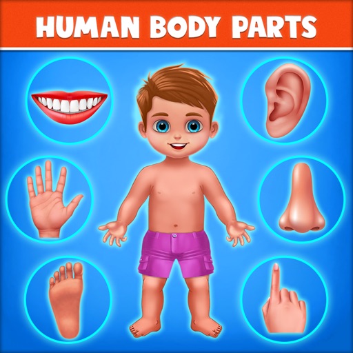 Human Body Parts Play to Learn Download