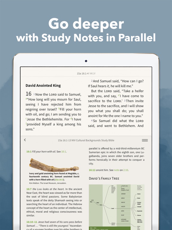 Bible App - Read & Study Daily screenshot 2