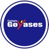 Colégio Goyases