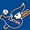 OPA JAYS Baseball