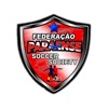 F. Paraense Soccer Society