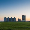 Feed Mill Biosecurity Audit