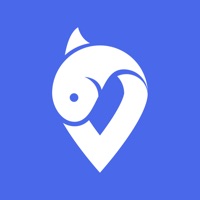 어신(바다, 민물, 낚시, 날씨, 물때, 조과, 조황)