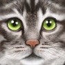 Get Ultimate Cat Simulator for iOS, iPhone, iPad Aso Report