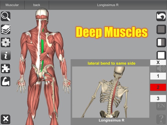 3D Anatomy screenshot 2