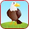 Birds Preschool Learning Game will help kids learn about birds