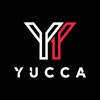 Yucca - يوكا