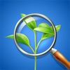 Plant Identifier & Care App