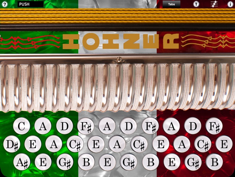 Hohner SqueezeBox