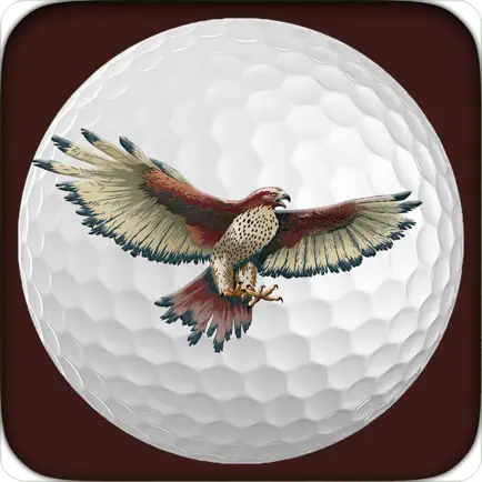 Shadow Hawk Golf Club Читы