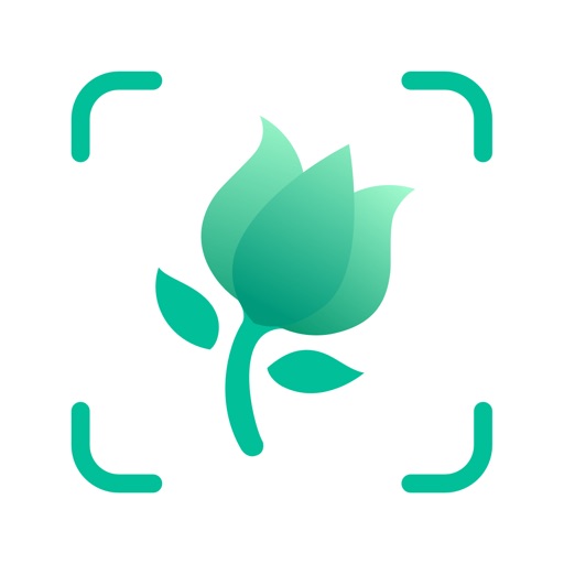 Pflanzen bestimmen Empfehlenswerte Apps zur Pflanzenerkennung