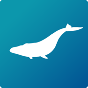 Blue Whale AR Encounter