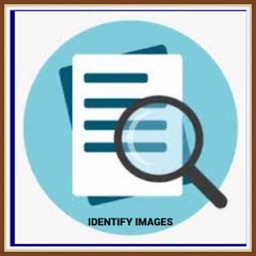 Figure Out The Image