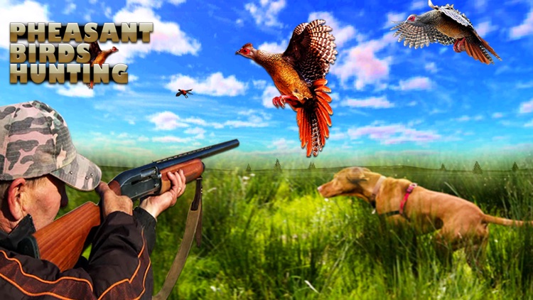 Pheasant Bird Hunting Pro