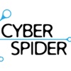 Cyber Spider Ltd