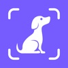 Dog Pal - Training & Breed ID