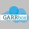 GARRbox Progress