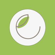 Ecoshe Vegan Flashcard Quiz