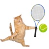 Cat Tennis 3D