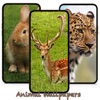 10000動物の壁紙 - iPadアプリ