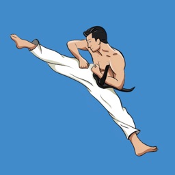 Mastering Taekwondo Training икона