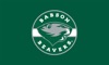 Babson College Sports Network