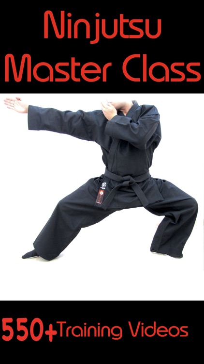 Ninjutsu Master Class