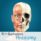 Top 20 Medical Apps Like Anatomy - 1K+ Illustrations - Best Alternatives